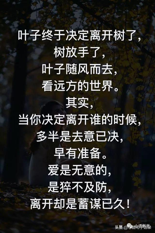 鍙跺瓙鐨勭鍘伙紝鏄鐨勮拷姹傦紝杩樻槸鏍戠殑涓嶆尳鐣欙紒锛堢瓟妗堝緢娈嬮叿)