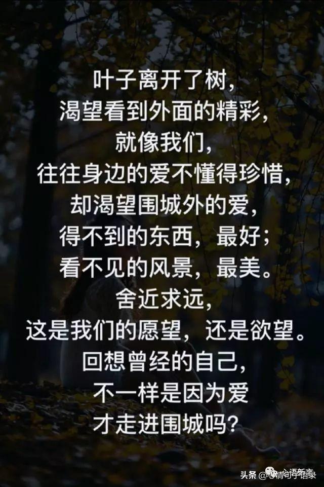 鍙跺瓙鐨勭鍘伙紝鏄鐨勮拷姹傦紝杩樻槸鏍戠殑涓嶆尳鐣欙紒锛堢瓟妗堝緢娈嬮叿)