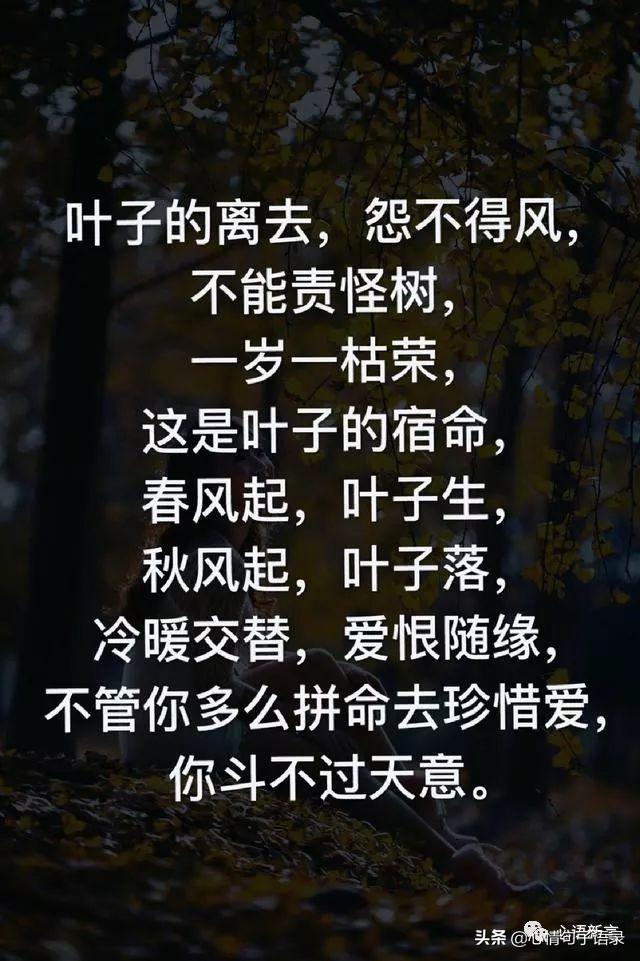 鍙跺瓙鐨勭鍘伙紝鏄鐨勮拷姹傦紝杩樻槸鏍戠殑涓嶆尳鐣欙紒锛堢瓟妗堝緢娈嬮叿)