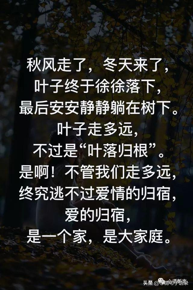 鍙跺瓙鐨勭鍘伙紝鏄鐨勮拷姹傦紝杩樻槸鏍戠殑涓嶆尳鐣欙紒锛堢瓟妗堝緢娈嬮叿)