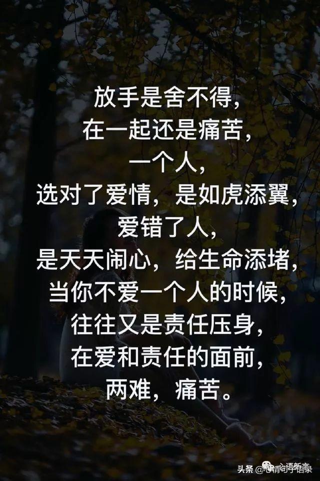 鍙跺瓙鐨勭鍘伙紝鏄鐨勮拷姹傦紝杩樻槸鏍戠殑涓嶆尳鐣欙紒锛堢瓟妗堝緢娈嬮叿)