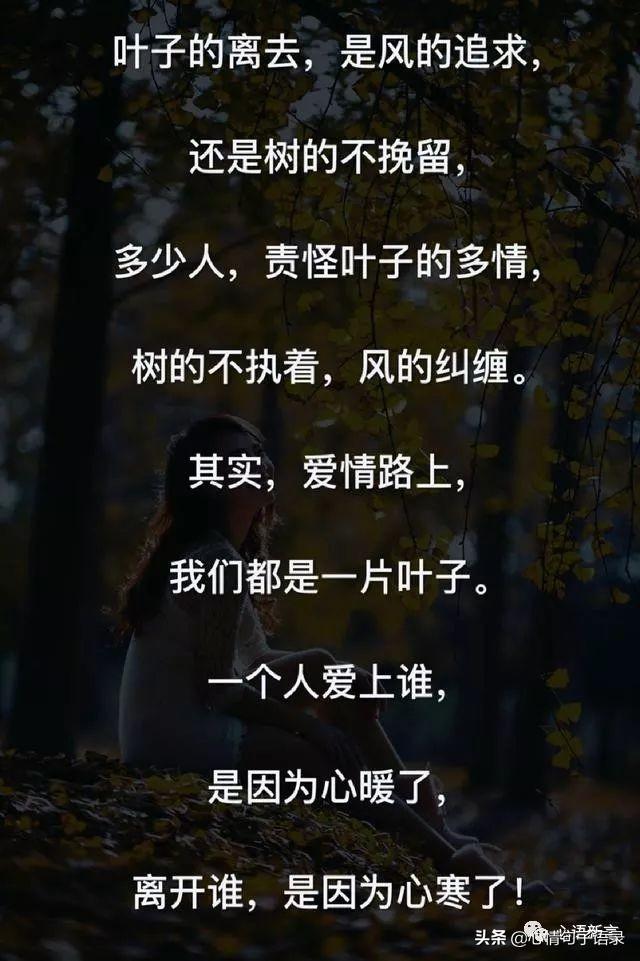 鍙跺瓙鐨勭鍘伙紝鏄鐨勮拷姹傦紝杩樻槸鏍戠殑涓嶆尳鐣欙紒锛堢瓟妗堝緢娈嬮叿)