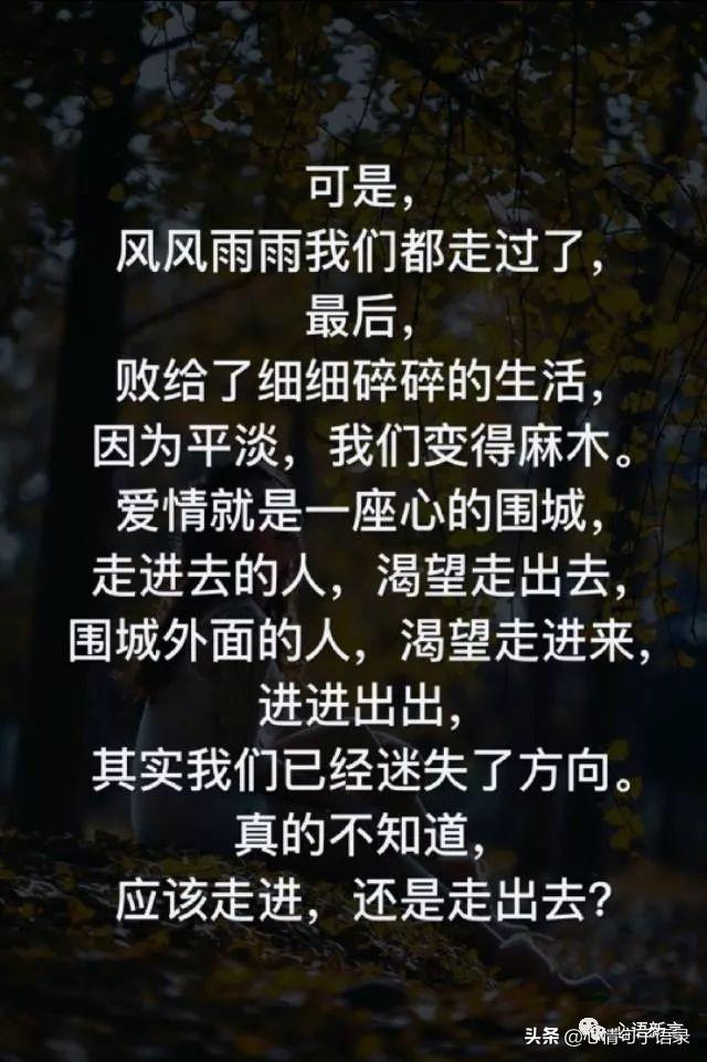 鍙跺瓙鐨勭鍘伙紝鏄鐨勮拷姹傦紝杩樻槸鏍戠殑涓嶆尳鐣欙紒锛堢瓟妗堝緢娈嬮叿)