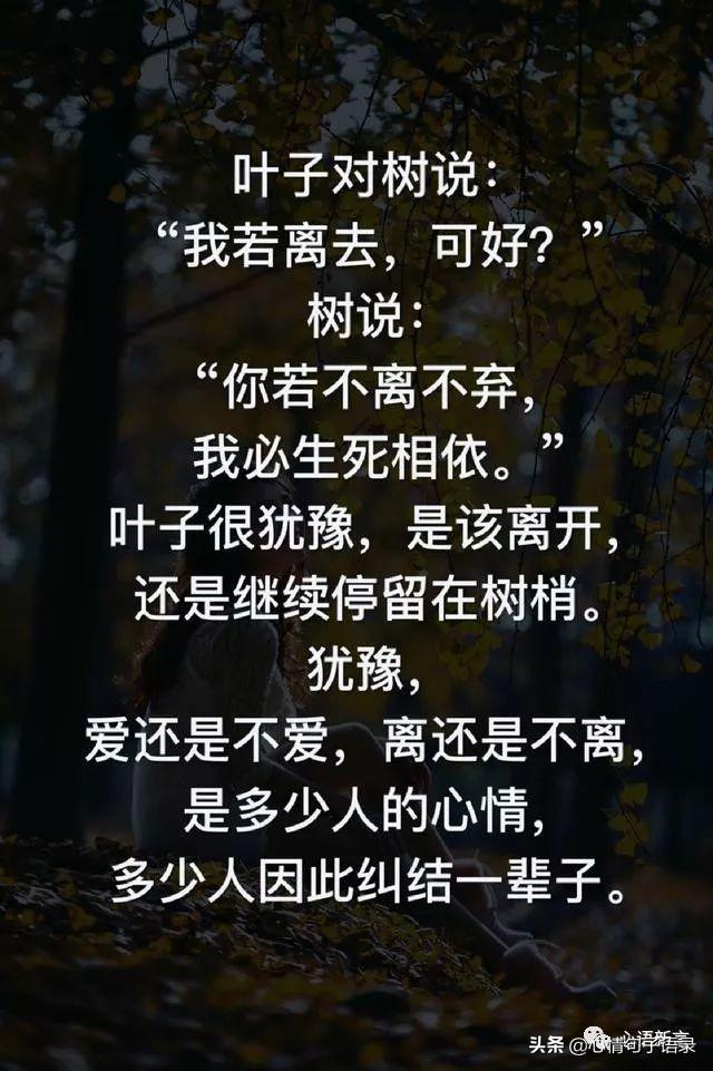 鍙跺瓙鐨勭鍘伙紝鏄鐨勮拷姹傦紝杩樻槸鏍戠殑涓嶆尳鐣欙紒锛堢瓟妗堝緢娈嬮叿)