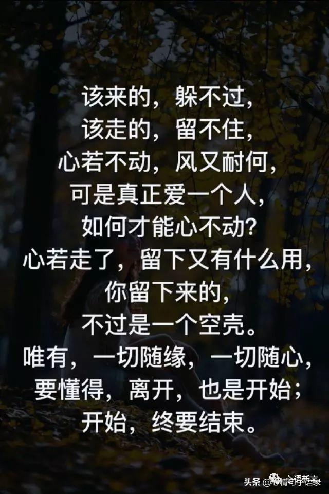 鍙跺瓙鐨勭鍘伙紝鏄鐨勮拷姹傦紝杩樻槸鏍戠殑涓嶆尳鐣欙紒锛堢瓟妗堝緢娈嬮叿)
