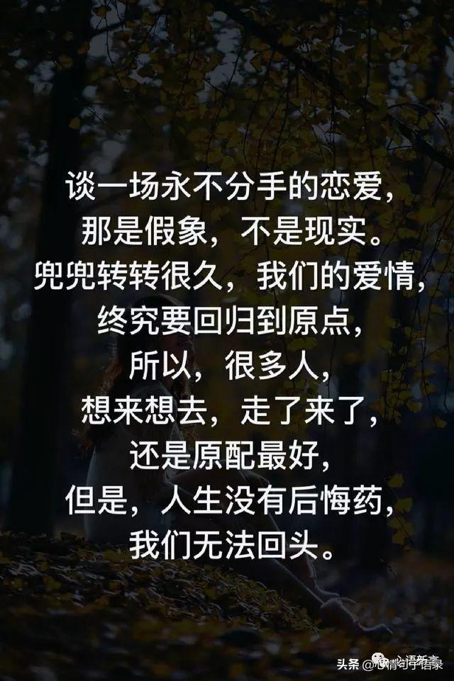 鍙跺瓙鐨勭鍘伙紝鏄鐨勮拷姹傦紝杩樻槸鏍戠殑涓嶆尳鐣欙紒锛堢瓟妗堝緢娈嬮叿)
