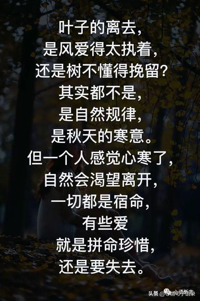 鍙跺瓙鐨勭鍘伙紝鏄鐨勮拷姹傦紝杩樻槸鏍戠殑涓嶆尳鐣欙紒锛堢瓟妗堝緢娈嬮叿)