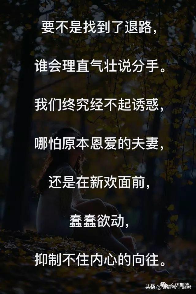 鍙跺瓙鐨勭鍘伙紝鏄鐨勮拷姹傦紝杩樻槸鏍戠殑涓嶆尳鐣欙紒锛堢瓟妗堝緢娈嬮叿)