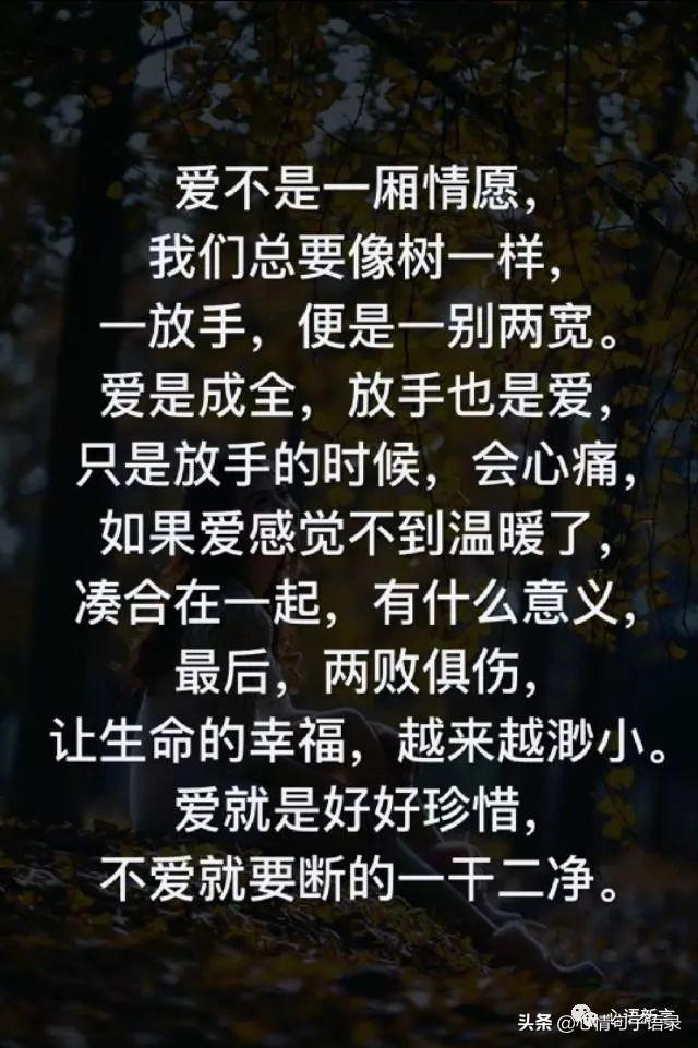 鍙跺瓙鐨勭鍘伙紝鏄鐨勮拷姹傦紝杩樻槸鏍戠殑涓嶆尳鐣欙紒锛堢瓟妗堝緢娈嬮叿)