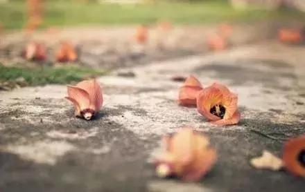 伤感句子带图