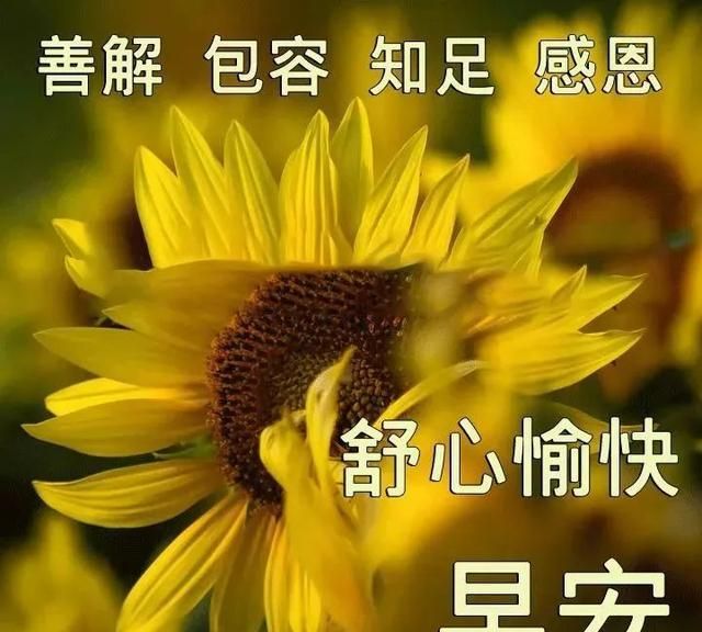 挽留老婆句子暖心(挽回出轨老婆的话)