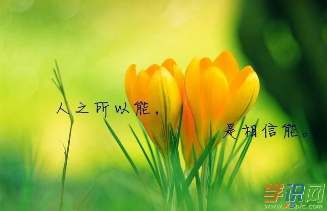 感谢领导的挽留句子(感谢领导的话语简单)