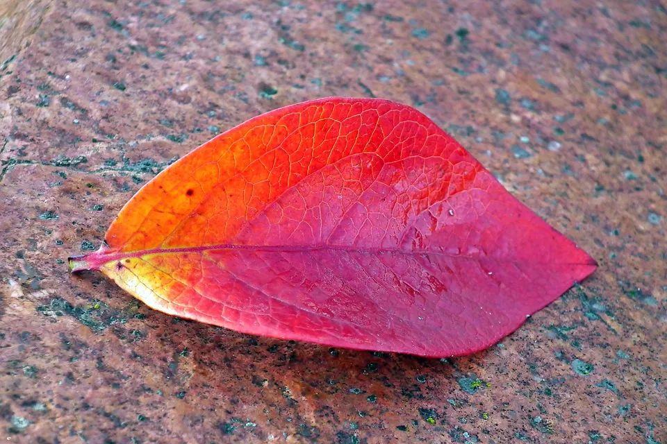一个人心累失望的说说,伤感走心!-句子橘 一个人心累失望的说说,伤感走心!-句子橘
