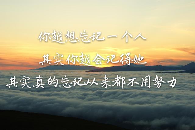 你走,我不挽留;你来,风里雨里我都去接你