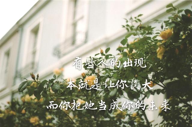 你走,我不挽留;你来,风里雨里我都去接你