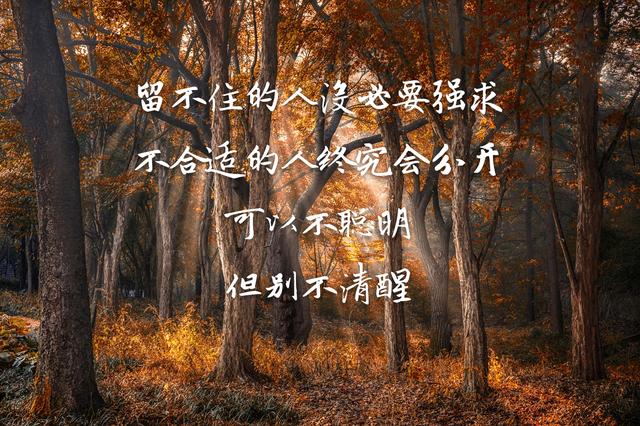 你走,我不挽留;你来,风里雨里我都去接你