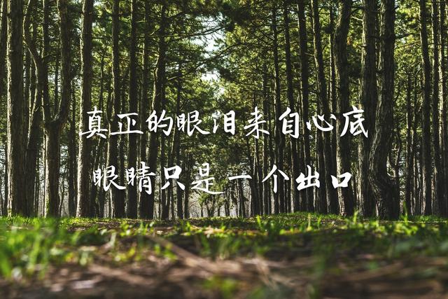 你走,我不挽留;你来,风里雨里我都去接你