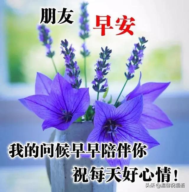 时光依旧美好,遥看鲜花绿草,清歌一曲逍遥,生活如意美妙。早安