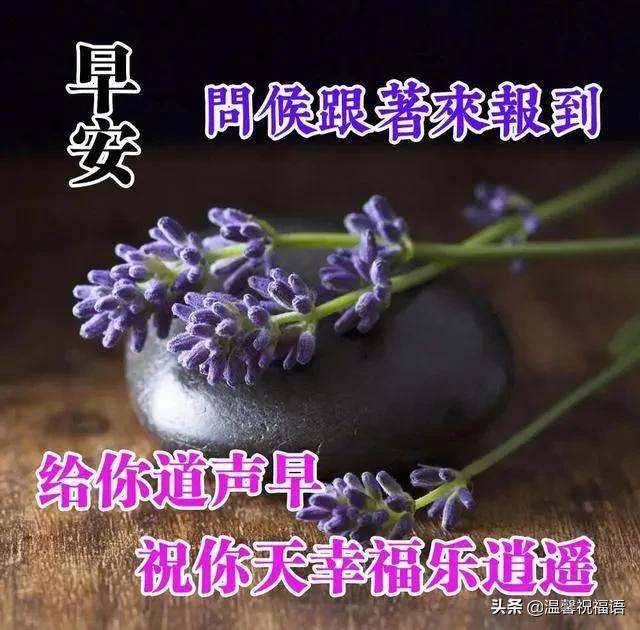 时光依旧美好,遥看鲜花绿草,清歌一曲逍遥,生活如意美妙。早安