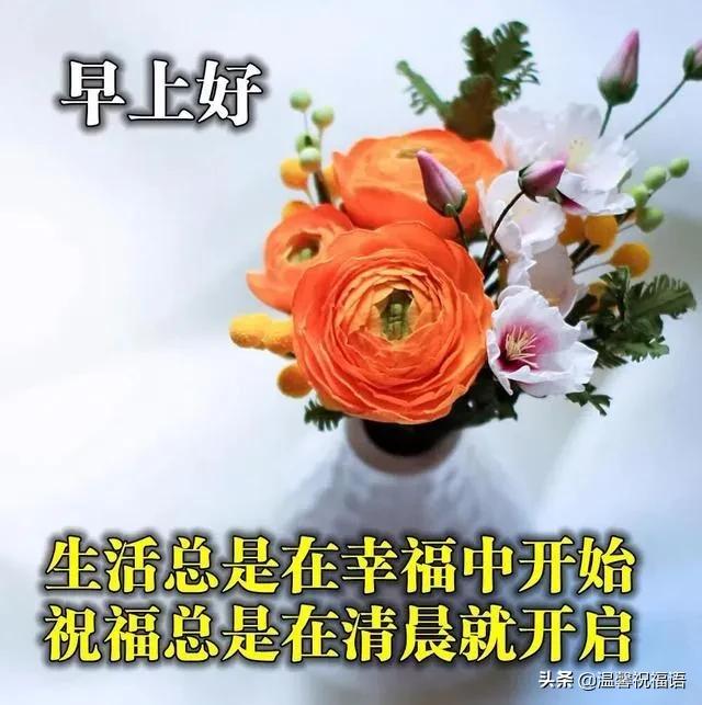 时光依旧美好,遥看鲜花绿草,清歌一曲逍遥,生活如意美妙。早安