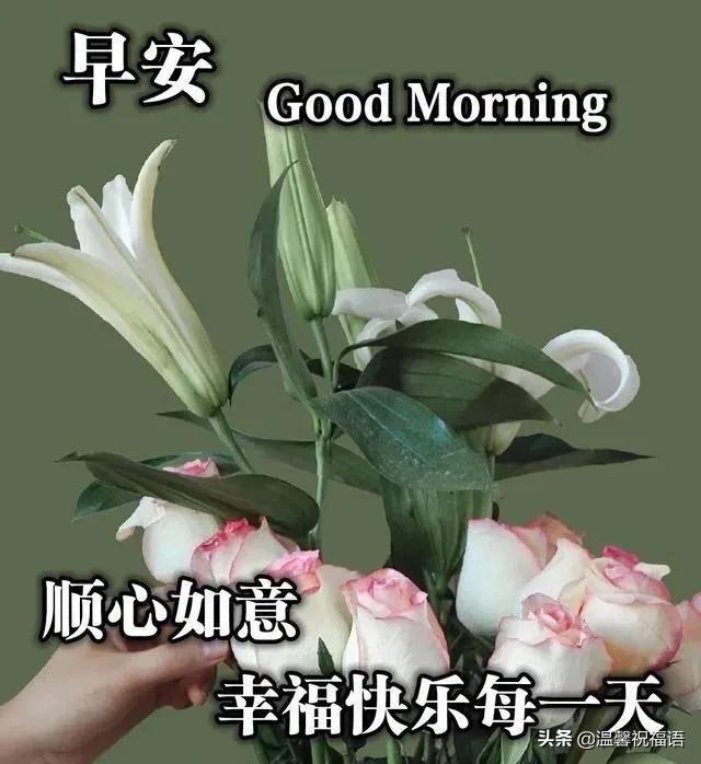 时光依旧美好,遥看鲜花绿草,清歌一曲逍遥,生活如意美妙。早安