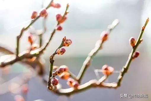 人生,既为过客,何须执着!