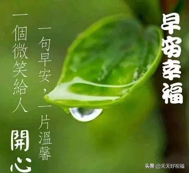 下雨天很暖心的短信祝福句子,下雨天很温馨的祝福表情图片带字