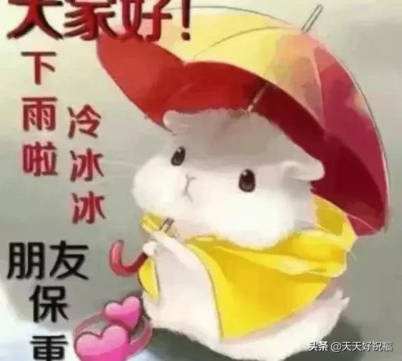 下雨天很暖心的短信祝福句子,下雨天很温馨的祝福表情图片带字