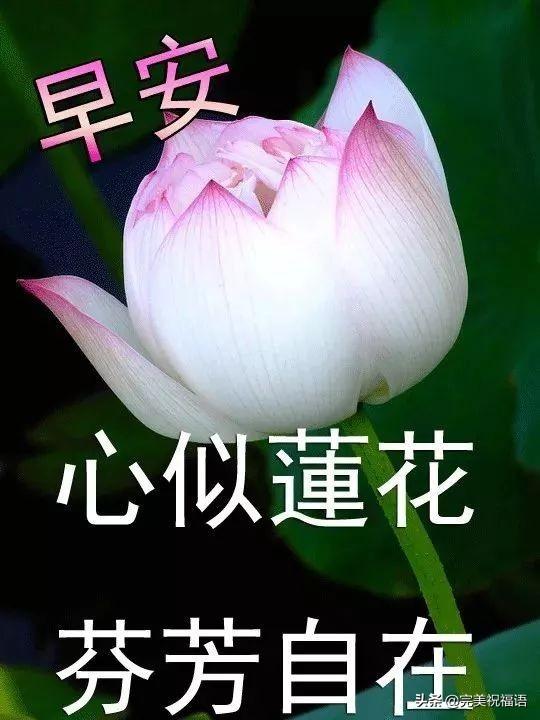 朋友圈温馨祝福语录慰问朋友暖心句子,微信早安文字祝福图片大全