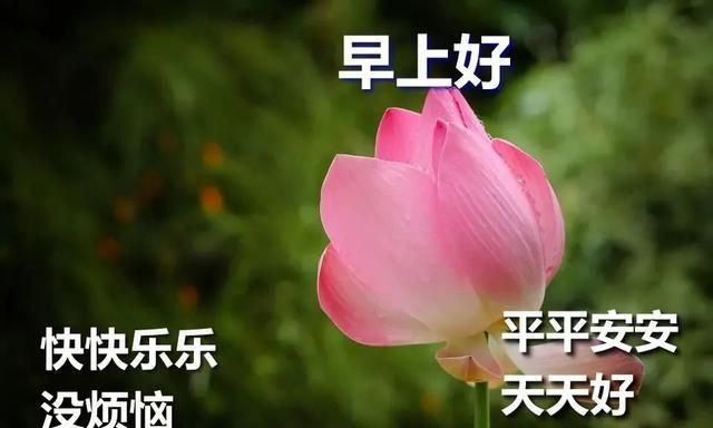 一个人的聚会温馨句子(聚会的句子唯美)