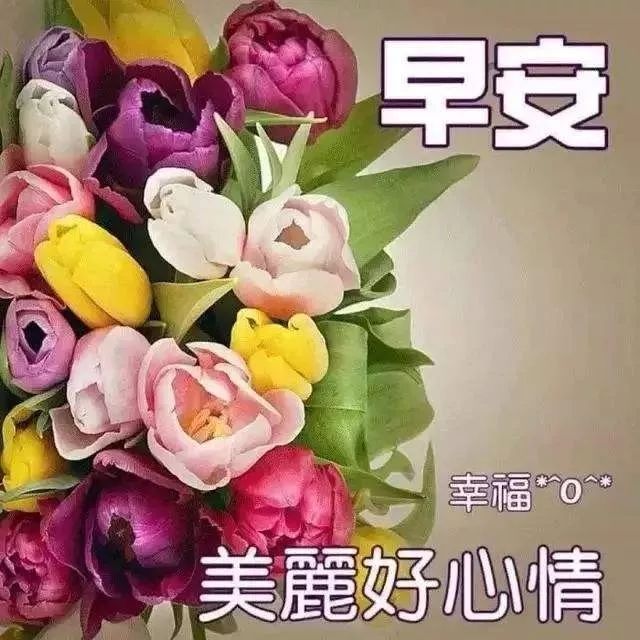 周末温馨提醒句子(幼儿园双休日温馨提示)
