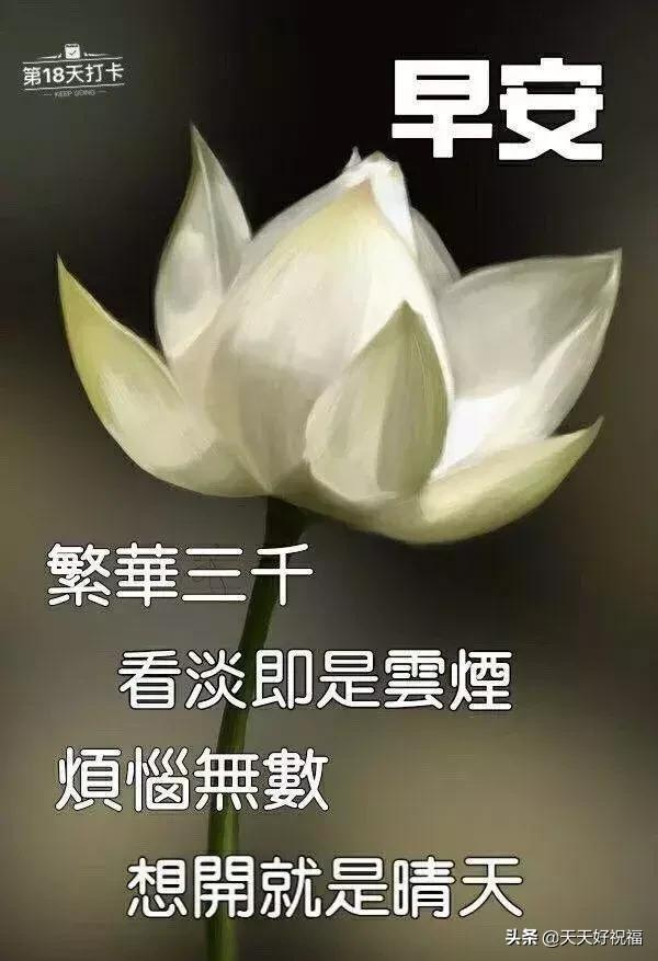 朋友圈日常祝福问候语录,温馨的短信祝福语送给你