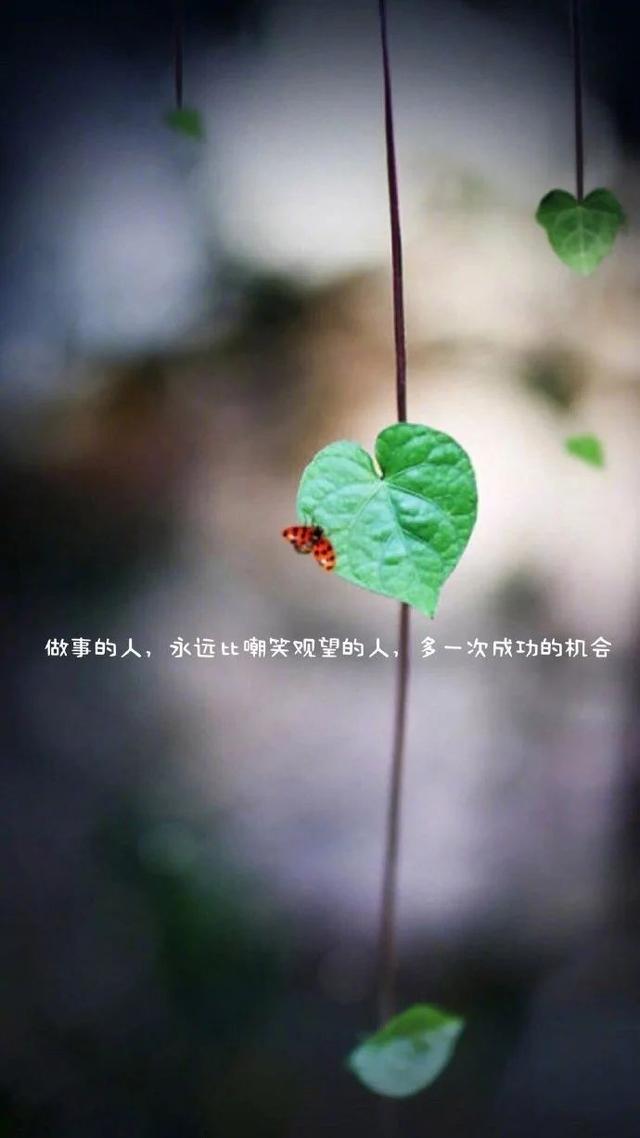 晚安心语温馨温暖说说句子图片:感受季节的变化,发现身边的美好