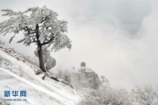 大雪心情说说短语20字 2019最新大雪朋友圈唯美温馨一句话