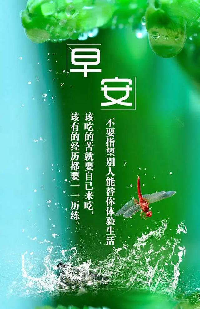 珍惜你的眼前,别等失去再追悔回不去的曾经,早安!