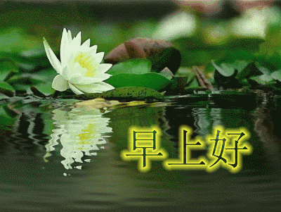 形容环境温馨的句子(温馨舒适的环境的句子)