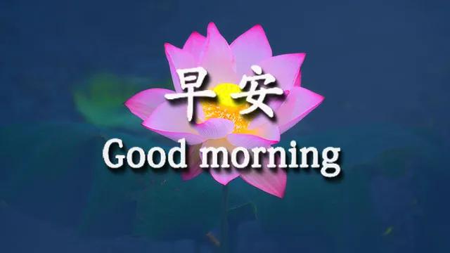 最新版早上好祝福语句子 早安暖心问候祝福短信的句子