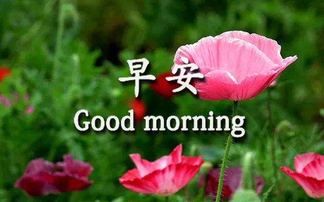 最新版早上好祝福语句子 早安暖心问候祝福短信的句子