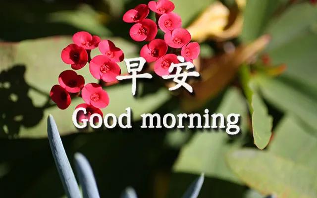 最新版早上好祝福语句子 早安暖心问候祝福短信的句子