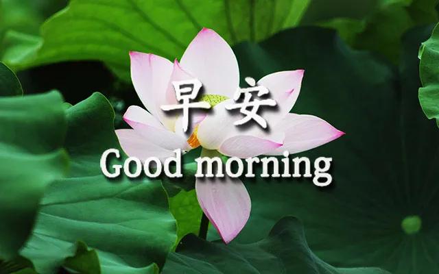 最新版早上好祝福语句子 早安暖心问候祝福短信的句子