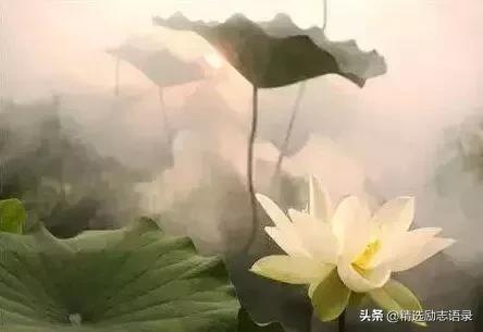 舍 + 得(句句经典)