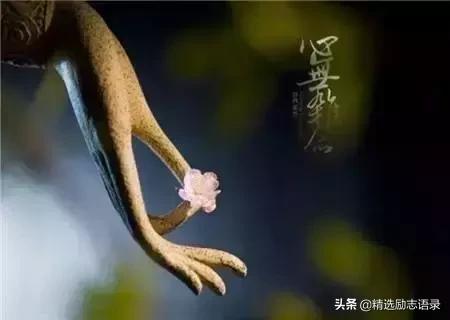 舍 + 得(句句经典)