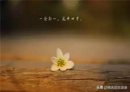 舍 + 得(句句经典)