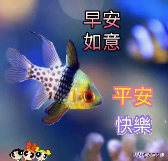 想念你的时候,再冷也是暖的;牵挂你的时候,再苦也是甜的,早安