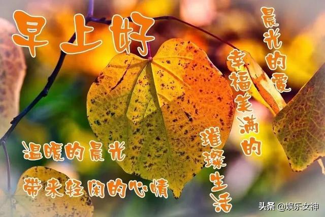 想念你的时候,再冷也是暖的;牵挂你的时候,再苦也是甜的,早安