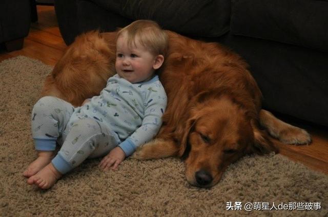 孩子和狗狗在一起的快乐,没有谁能比得了!