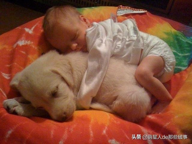 孩子和狗狗在一起的快乐,没有谁能比得了!