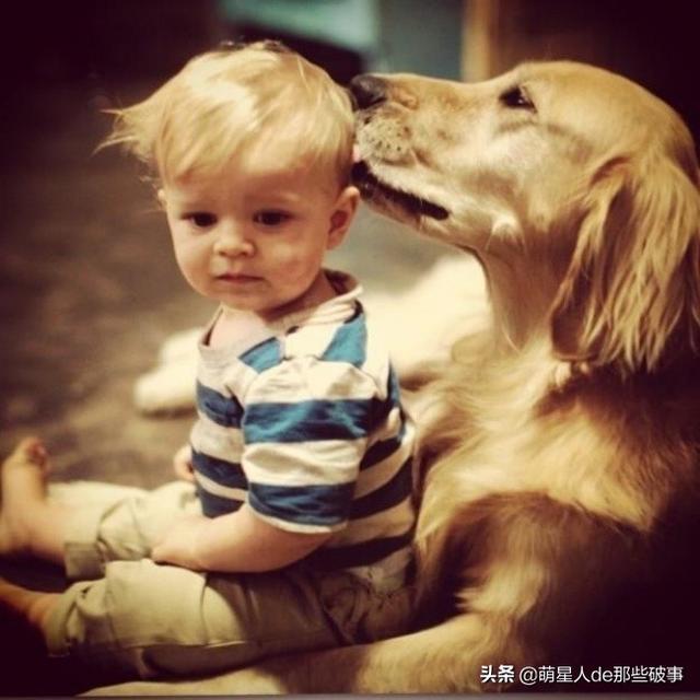 孩子和狗狗在一起的快乐,没有谁能比得了!