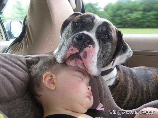 孩子和狗狗在一起的快乐,没有谁能比得了!