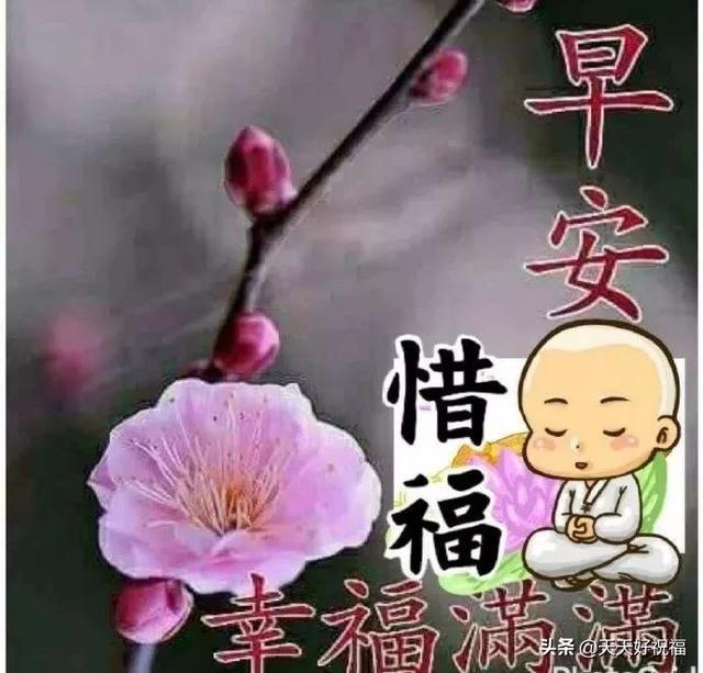 浪漫的早安问候语句子送爱人,亲爱的早上好正能量问候语
